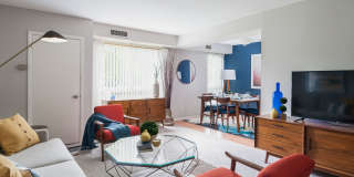 Metropolitan Doylestown Gallery 43