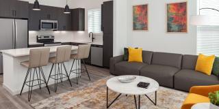 Vireo Medical District Gallery 10