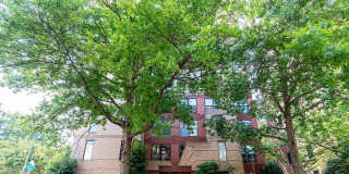 Beautiful One Bedroom in the Heart of Foggy Bottom| Water and Gas Included! Gallery 54