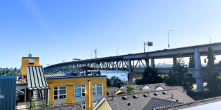 Iris Apartments - Student Housing Gallery 16