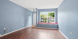 123 QUINCE Circle Gallery 5