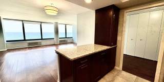 155 N HARBOR Drive Gallery 11