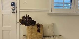 1202 Palm Trail Gallery 2