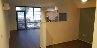 Olea Gallery 29