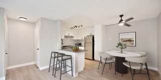 The Harlow Gallery 5