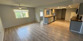 55+ Sun City Home Gallery 7