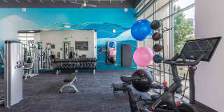 Arista Uptown Gallery 20
