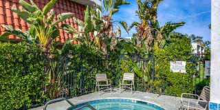 2274 N Indian Canyon Drive Gallery 33