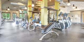 The Grove Somerset Gallery 12