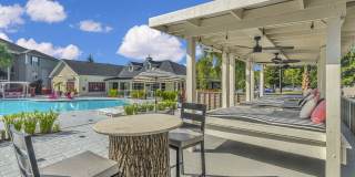 Atlantic Palms Gallery 15