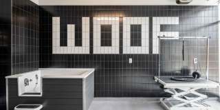 The Point at Waltham Gallery 18