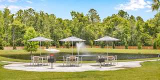 Tapestry Palmera Gallery 56