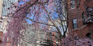 98 St Botolph St Gallery 7