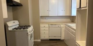 1003 San Antonio Street Gallery 8