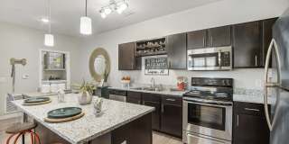 Springs at Stadium Village Gallery 3