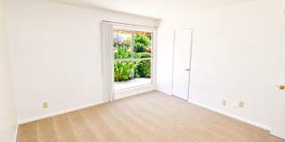 Large 6 Bedroom - Huge Yard - Students Welcome Gallery 17