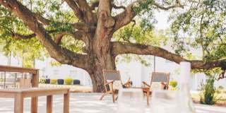 The Grove at Ardsley Park Gallery 11