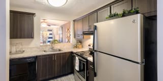 Water's Edge Gallery 2