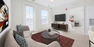 Alexan Harrison Apartments Gallery 135