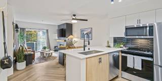 Novi at Queen Anne Gallery 3