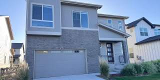Newer Gorgeous home in Timnath Gallery 1