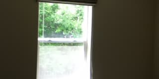 4 Bedroom 2 Bathroom House - Close to MSU Campus Gallery 19