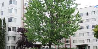 Eugene Manor Apartments Gallery 3