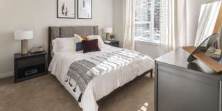 Axiom Cabin Branch Gallery 2