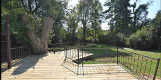 4 bed/3.5 bath, half acre lot, 100 yards from Memorial Stadium! Gallery 18