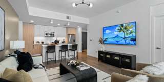 Aster & Links Gallery 72