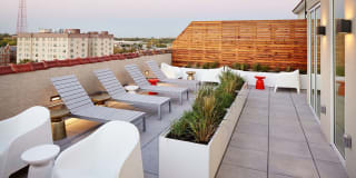 Ambassador Gallery 21