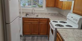 Witham Village Gallery 5