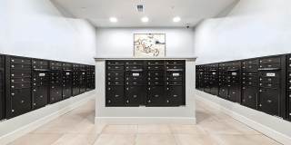 The Stella Gallery 22