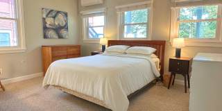 Winter Rental: Pirate's Cove (Pet-friendly!) Gallery 14