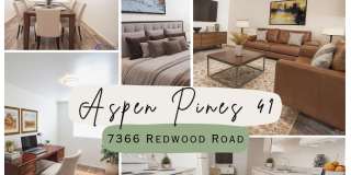 Aspen Pines Gallery 1