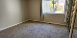 1970 Bush Street 1970 Bush Street Gallery 14