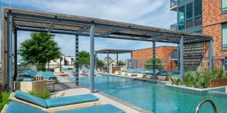 Aster Aster Gallery 4