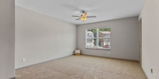 Summit on Central Summit on Central Gallery 28