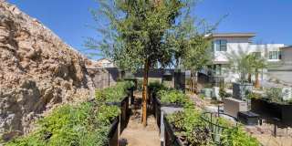 11099 Socrates Ridge Street Gallery 28