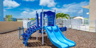 Pine Groves Gallery 32