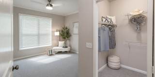 Elevate 155 Gallery 10