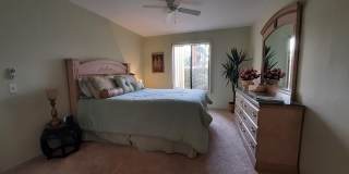1405 N Sunrise Way Gallery 6