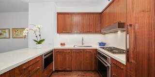 55 W Delaware Place Gallery 2