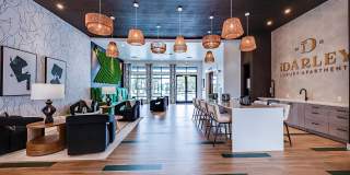 The Darley Gallery 11