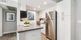 Sofi at Wood Ranch Gallery 8