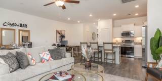 Alaina Park Gallery 2