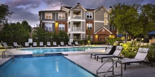 Lake Clearwater Gallery 2