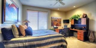 10277 E NOLINA Trail Gallery 16
