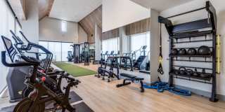 Azola Avery Centre Gallery 24