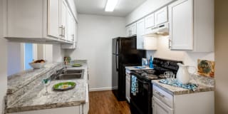 Stassney at SoCo Gallery 1